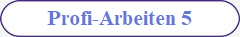 Profi-Arbeiten 5