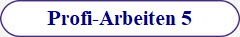 Profi-Arbeiten 5